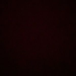 Meet your Posher, Gaabriela